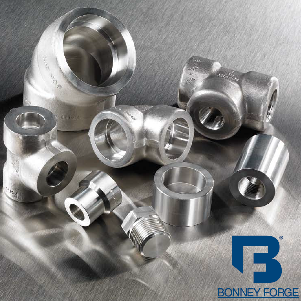 Bonney Forge 316L Socket Class 3000