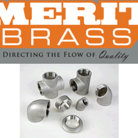 Merit-304SS-150lb-THD Merit Brass 304SS 150lb THD