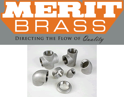 Merit Brass 304SS 150lb THD